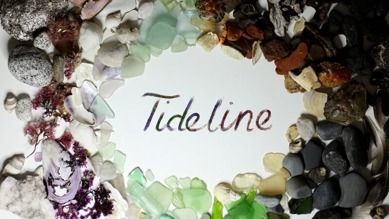 Tideline 